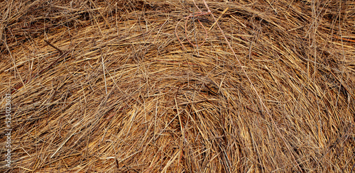 Fotografia A bale with hay for horses. Close up photo. Banner background