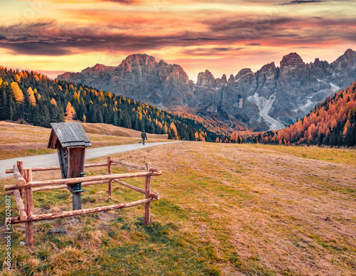Fotobehang Photographet walks on the country road in Venegia valley, high altitude Dolomite valley natural park with jagged peaks, rolling meadows, pastures and streams