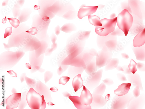 Pink sakura flower flying petals isolated on white vector background.
