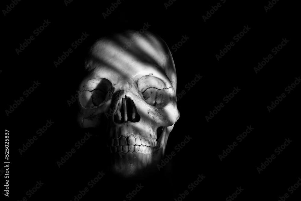 human skull on black background human skull on black background