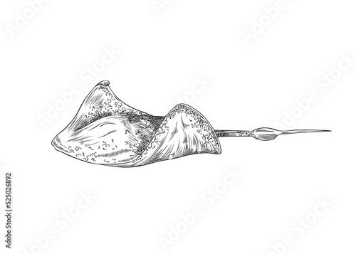 Stingray underwater creature - monochrome sketch vector illustration isolated on white background.