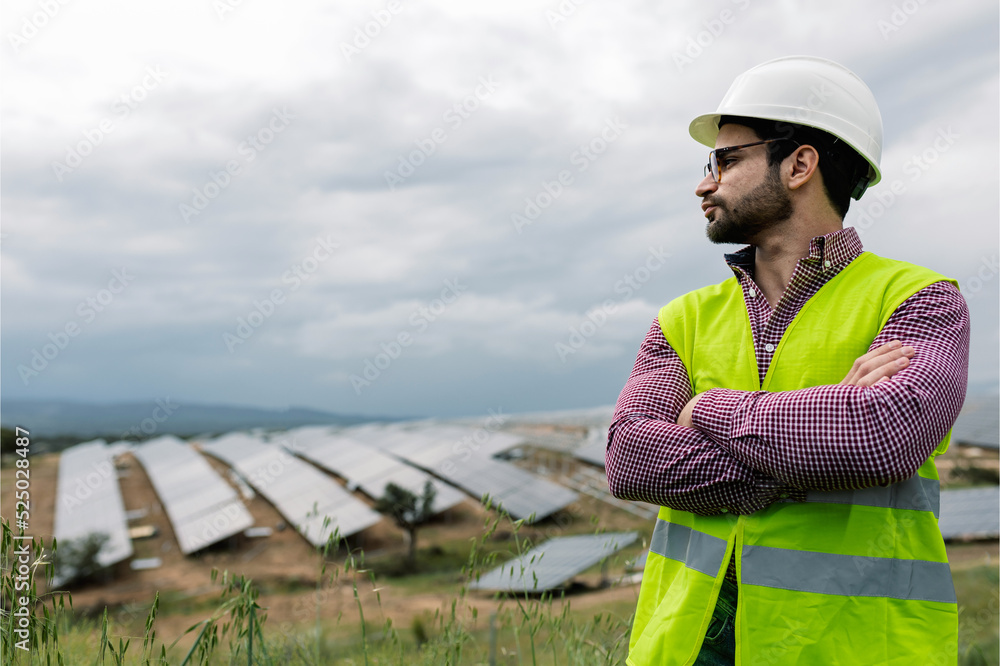 custom made wallpaper toronto digitalPensive man with arms folded standing near solar farm