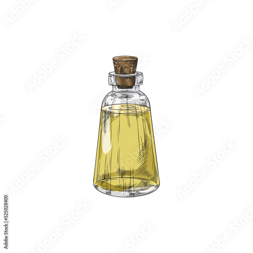 Essential oil bottle or cosmetic vial hand drawn vector illustration isolated.