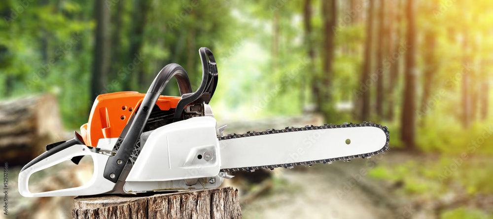 Chainsaw on tree and forest landscape. 