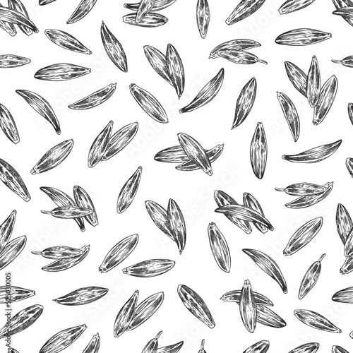 Cumin seeds seamless pattern, hand drawn sketch vector illustration on white background.