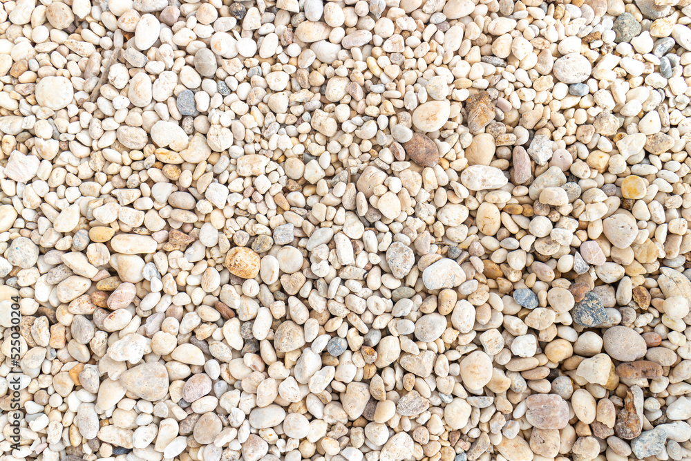 This is a crushed white stone background. This is a crushed white stone background.