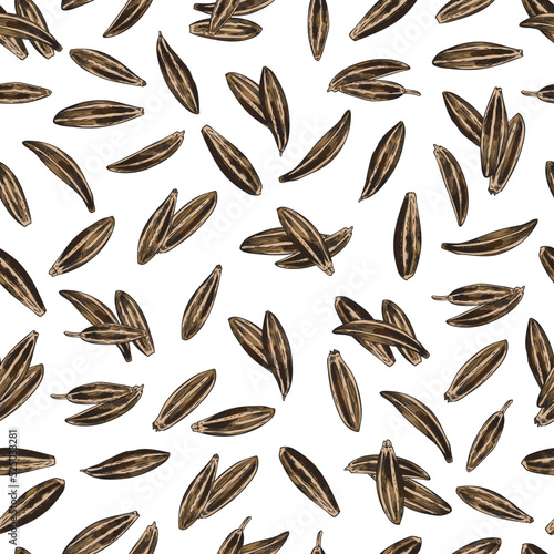 Seamless pattern with cumin or zira seeds, hand drawn sketch vector illustration.