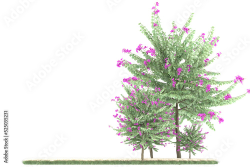 Forest on transparent background. 3d rendering - illustration