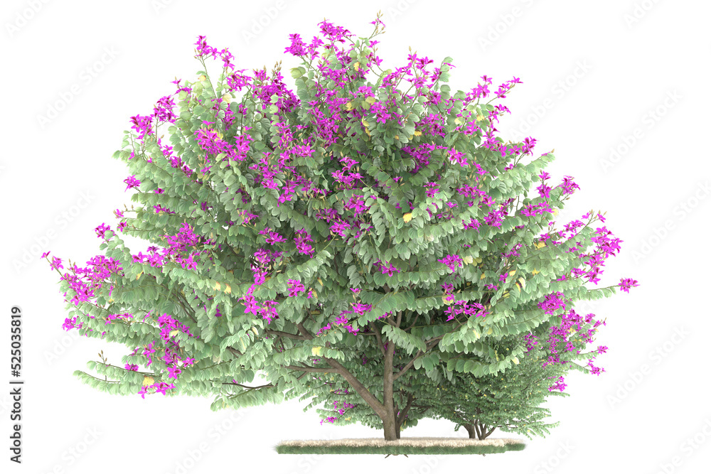 Forest on transparent background. 3d rendering - illustration Forest on transparent background. 3d rendering - illustration