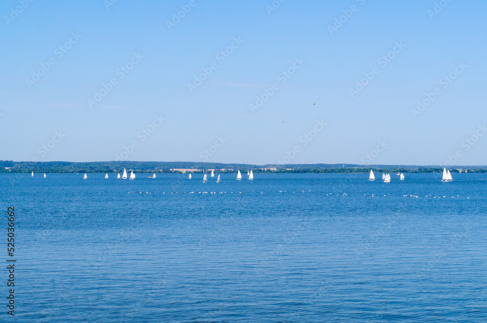 Seascape with white sails on the horizon. Summer natural background