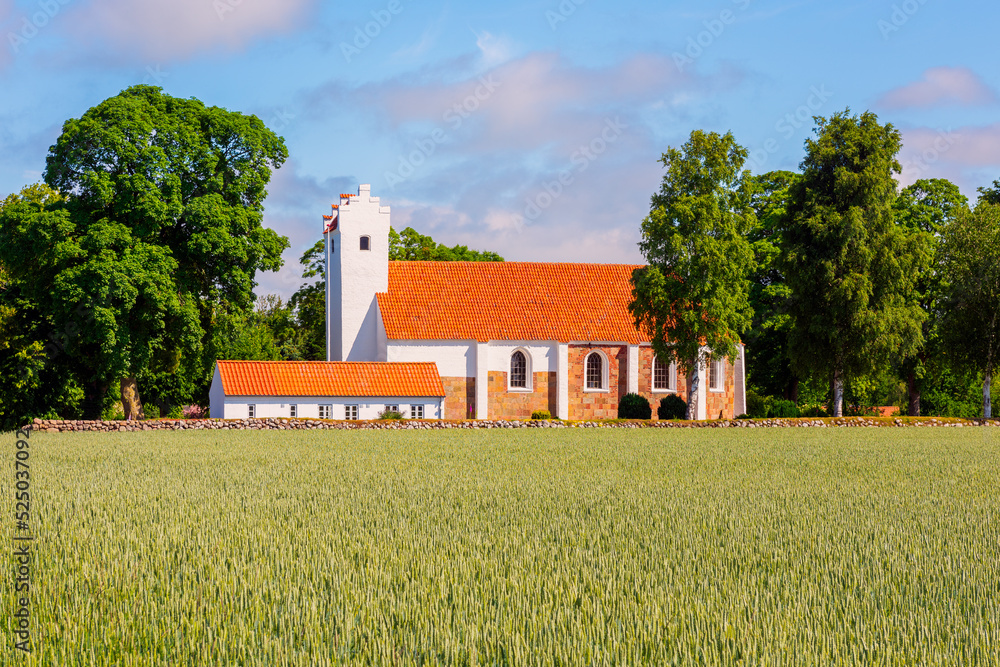 Typical Old Church in Central Denmark near a field with crops, on summer day