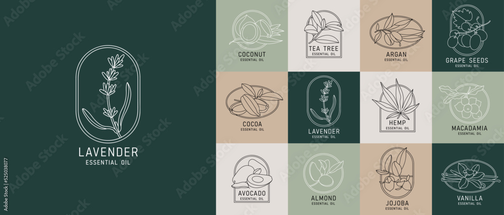 Fototapeta premium Vector set design templates and emblems - healthy and essential cosmetics oils. Different natural, organic oils. Logos in trendy linear style.