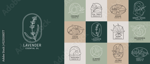 Vector set design templates and emblems - healthy and essential cosmetics oils. Different natural, organic oils. Logos in trendy linear style.