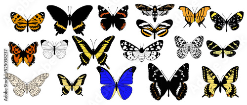 vector drawing set of butterflies,moth collection, insects isolated at white background, hand drawn illustration