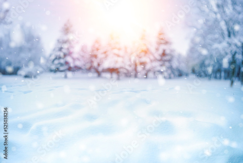 Beautiful natural winter defocused blurry background image with forest, snowdrifts and light snowfall in pinkish light of passing day on sunset. © Laura Pashkevich