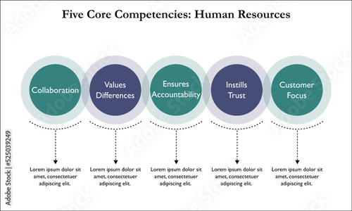 Five Core competencies in Human Resources in an Infographic template
