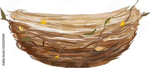 Egg nest watercolor illustration