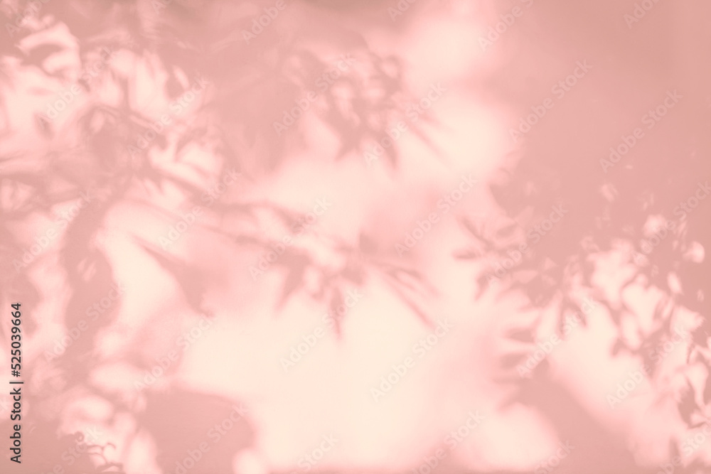 Leaf shadow and light on wall background. Nature tropical leaves tree branch and plant shade with sunlight from sunshine on white wall texture for background wallpaper, shadow overlay effect Leaf shadow and light on wall background. Nature tropical leaves tree branch and plant shade with sunlight from sunshine on white wall texture for background wallpaper, shadow overlay effect