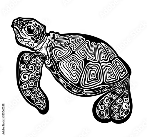 Vector black silhouette of a turtle isolated on a white background.