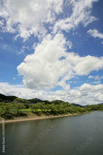 篠山川　夏の風景　新田橋より下流方向　8月 © K-Morin
