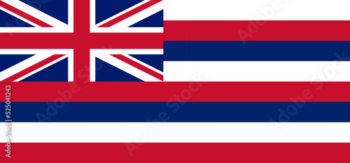 Hawaii state flag. Vector illustration.
