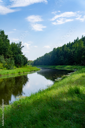Green summer natural landscape with green grass  river and trees. Design background