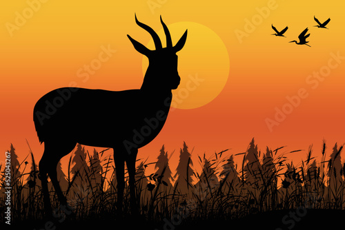 cute deer silhouette landscape graphic