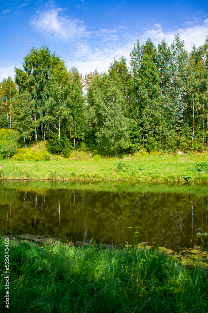 Green summer natural landscape with green grass, river and trees. Design background Green summer natural landscape with green grass, river and trees. Design background