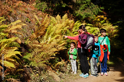 Mother with four kids in mountains forest near the fern. Family travel and hiking with childrens.
