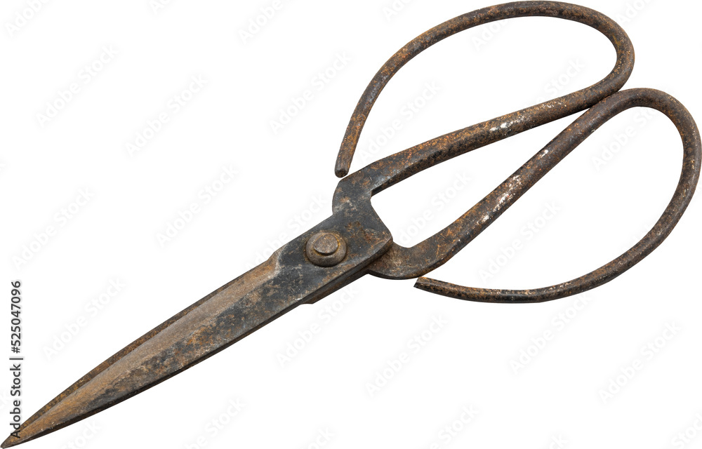 Old scissors Isolated Old scissors Isolated