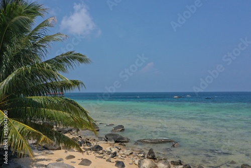 Tropical beach with stones and palm trees and a blue sea on Tioman Island in the South China Sea  belonging to Malaysia.