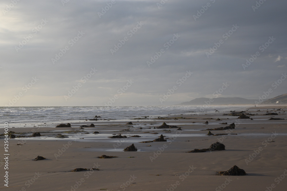 the remains of the petrified forest on Borth beach during low tide the remains of the petrified forest on Borth beach during low tide