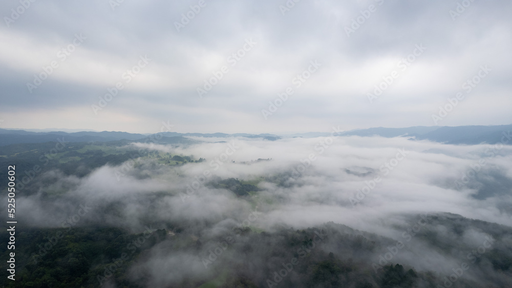 京都府相楽郡周辺の雲海