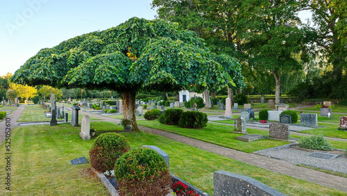 Gartenkunst auf dem Friedhof von Vittsjö in Schweden