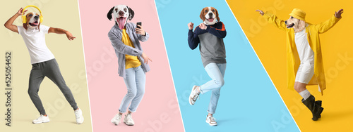 Group of funny dogs with human bodies on color background