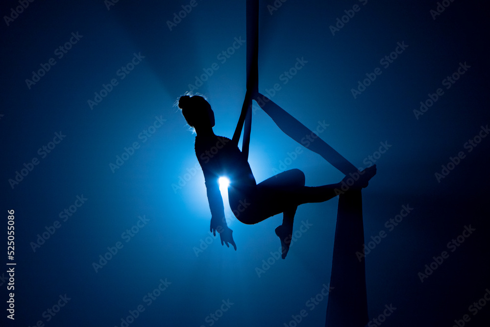 Obraz premium A young woman performing in a circus on aerial silk in the dark with blue light. Silhouette of female equilibrist balancing on a height. Performance of aerial gymnast.