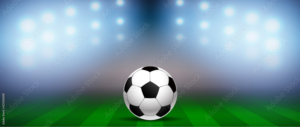 Fototapeta premium Fussball 2022