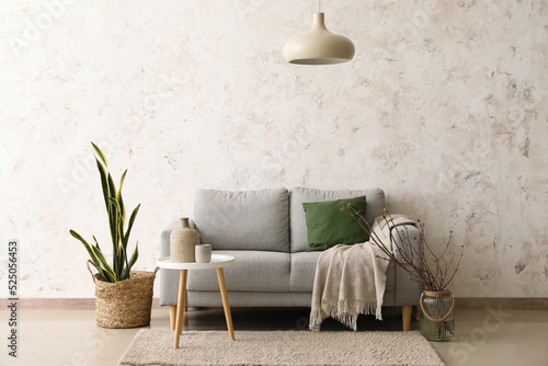 Sofa and table with housepl...