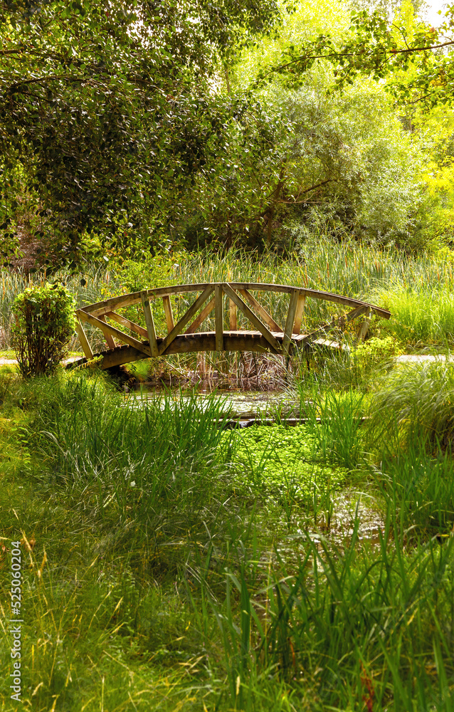 Wooden bridges in urban park surrounded by vegetation Wooden bridges in urban park surrounded by vegetation