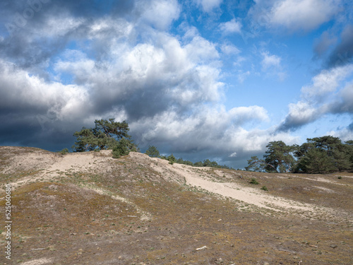 Wekeromse zand photo