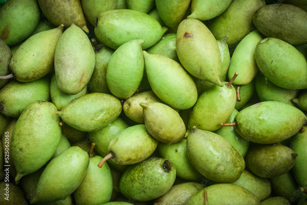 freshness organic olive fruit Thailand background freshness organic olive fruit Thailand background