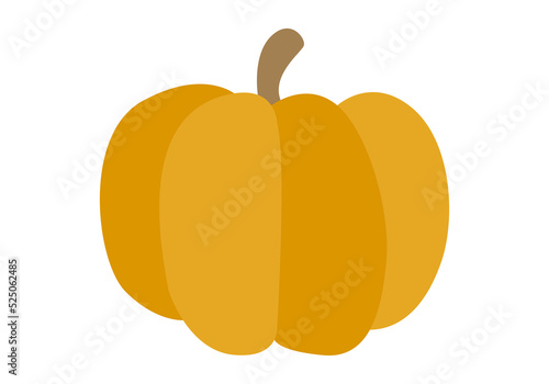 Calabazas de otoño en fondo blanco.
