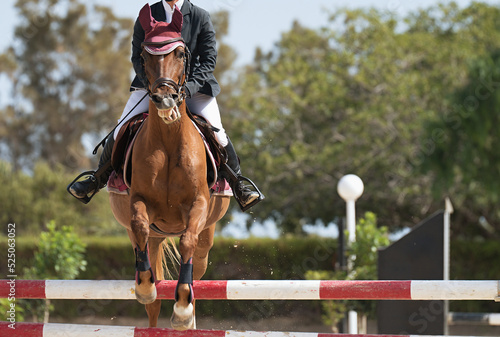 Photographie Sport horse jumping over a barrier on a obstacle course, rider in uniform perfor