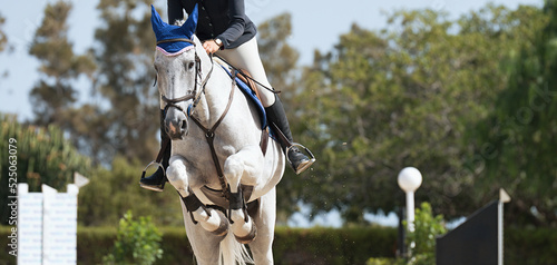 Sport horse jumping over a barrier on a obstacle course, rider in uniform performing jump at show jumping competition