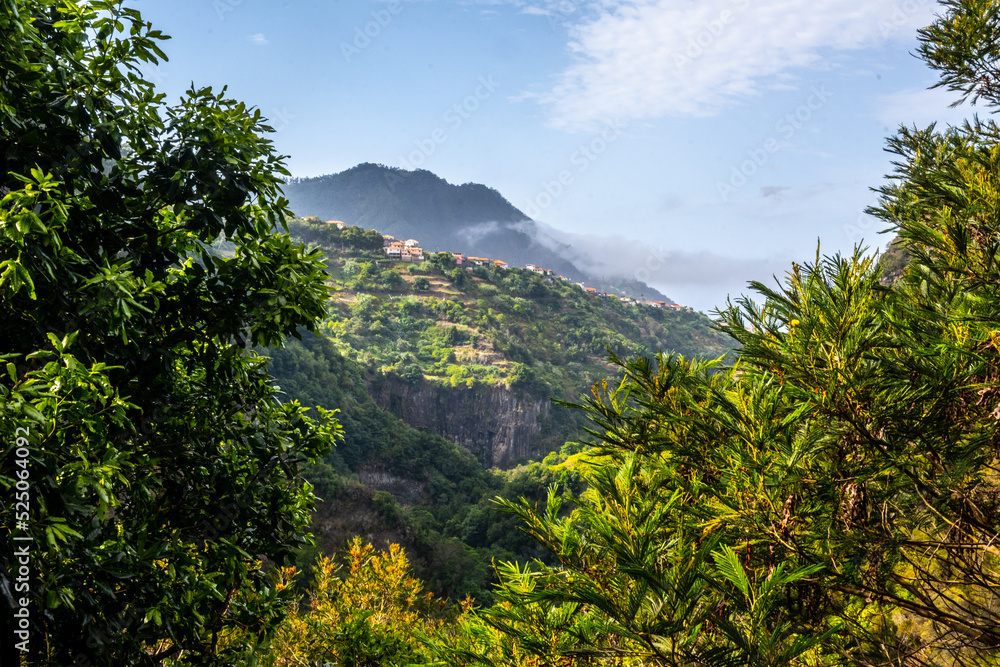 Madeira - Levada do Castelejo