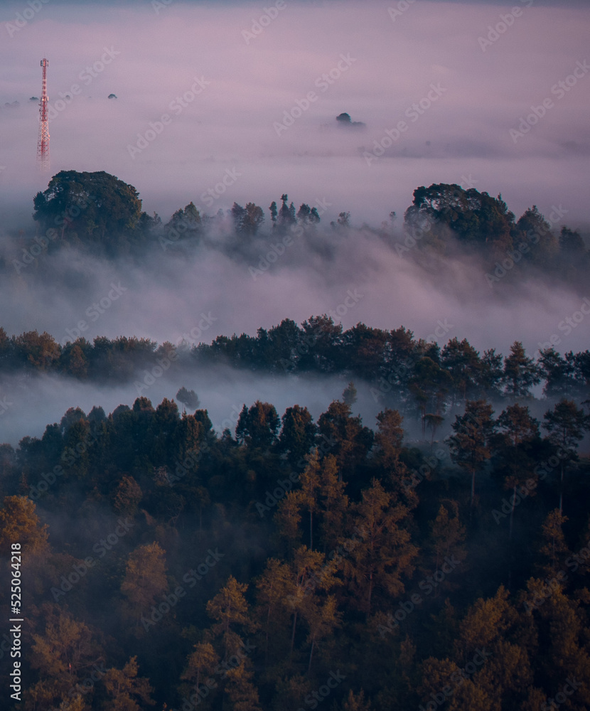 fog over the river
