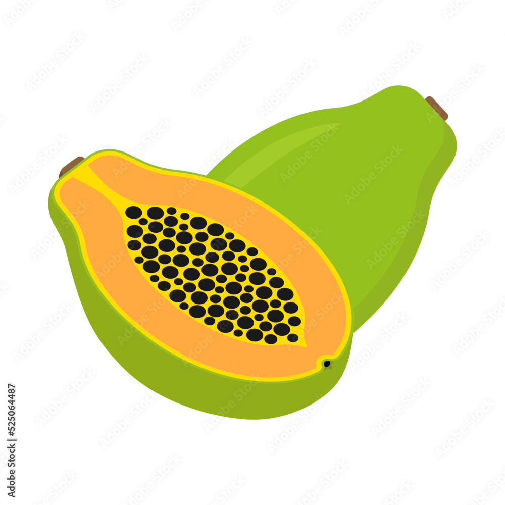 Papaya fruit. Color vector illustration of tropical fruit whole and