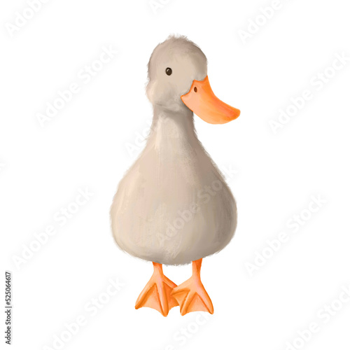 Cute cartoon duck standing. Hand drawn illustration isolated on white background. Farm animal