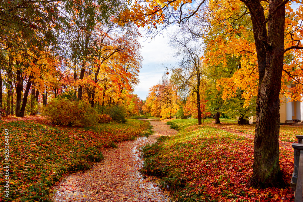 Naklejka premium Catherine park in autumn, Tsarskoe Selo (Pushkin), Saint Petersburg, Russia