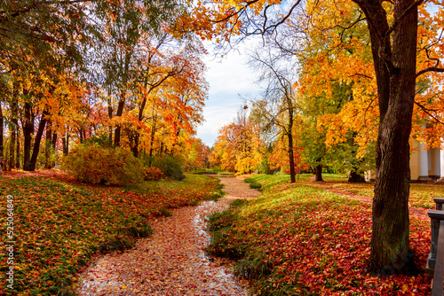 Catherine park in autumn, Tsarskoe Selo (Pushkin), Saint Petersburg, Russia © Mistervlad
